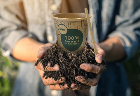Picture of a paper cup in hands with soil.